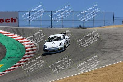 media/Jul-26-2022-Speed SF (Tue) [[35644a0384]]/Gold Group/Turn 3 (Corkscrew)/